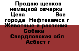 Продаю щенков немецкой овчарки › Цена ­ 5000-6000 - Все города, Нефтекамск г. Животные и растения » Собаки   . Свердловская обл.,Асбест г.